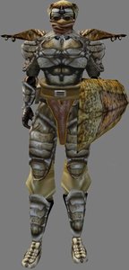 Chitin Armor