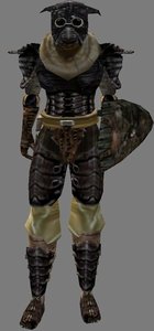 Netch Leather Armor