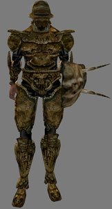 Bonemold Armor